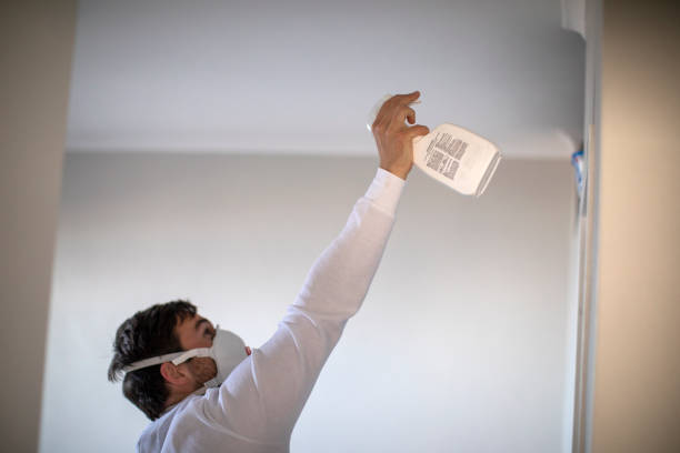 Best Office Mold Removal Services  in New Hope, PA